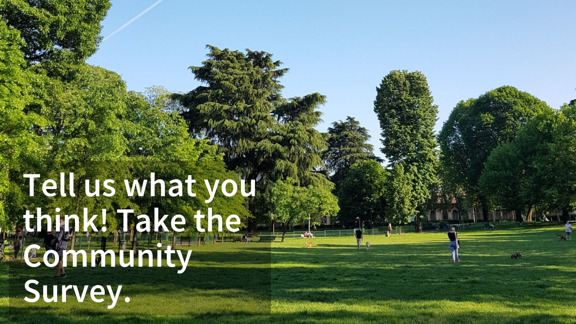 Park with grassy field and people