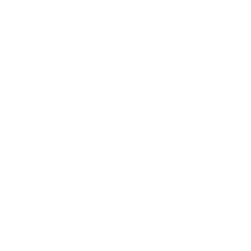 US icon