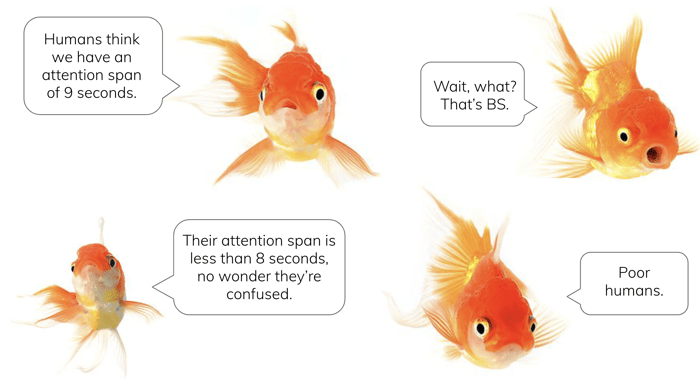 convo-attention-span